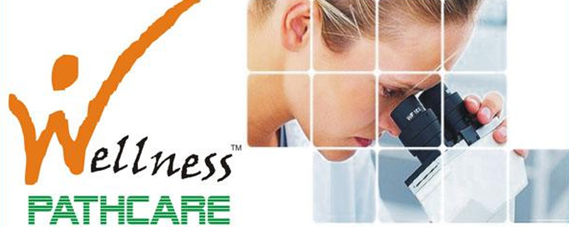 Wellness Path Care 